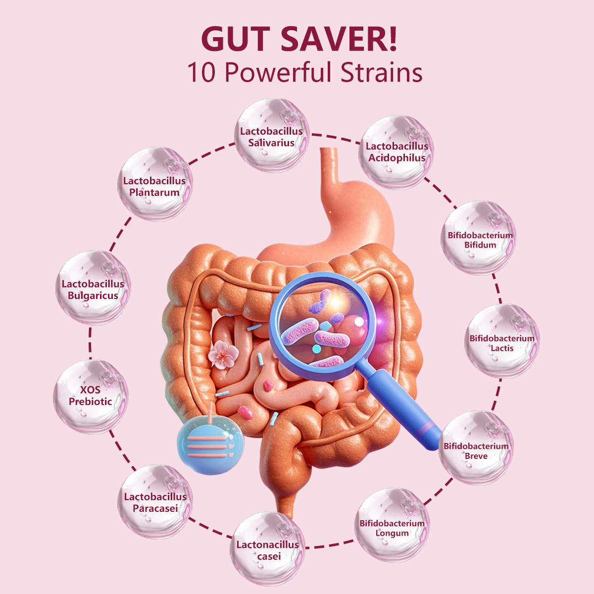 Women's Probiotic